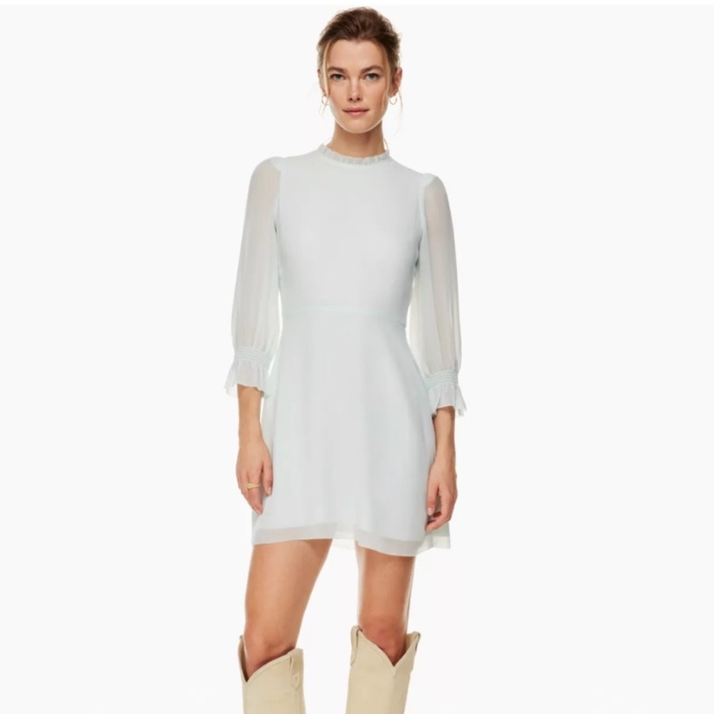 Aritzia Wilfred Swept Chiffon Dress